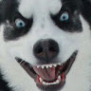 Meet your Posher, Enragedhusky